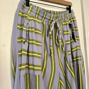 Free People Striped Wide Leg Pants - Green and Purple